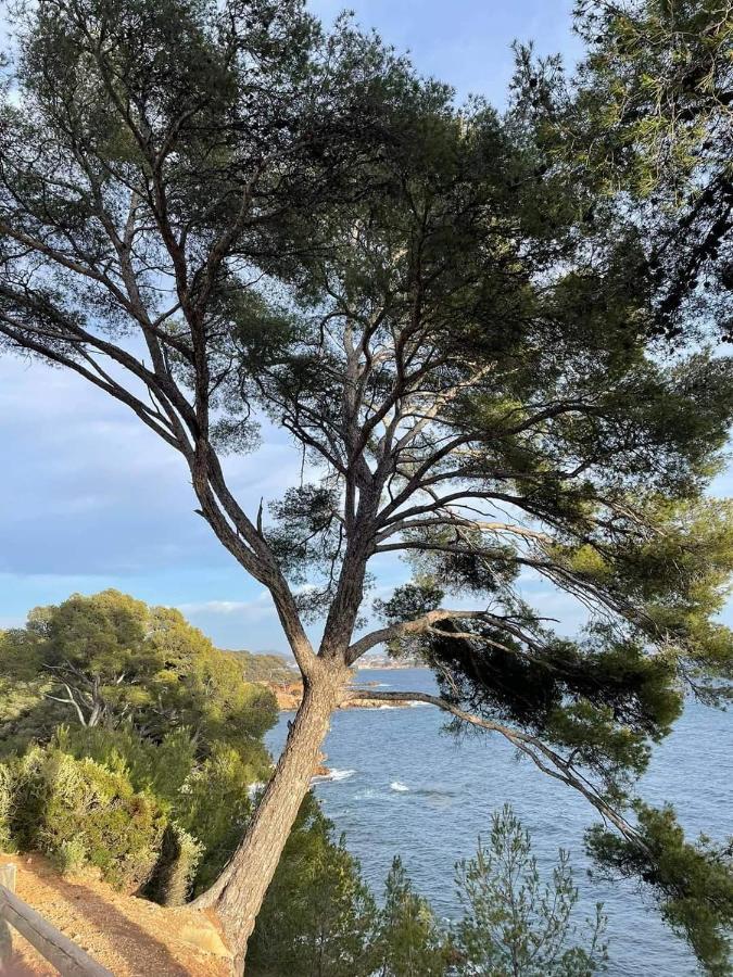 Villa Cocody Bandol Extérieur photo