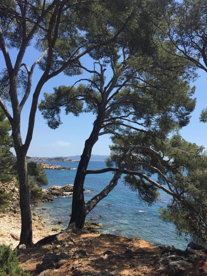 Villa Cocody Bandol Extérieur photo