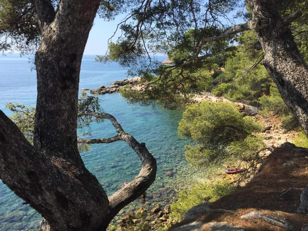 Villa Cocody Bandol Extérieur photo